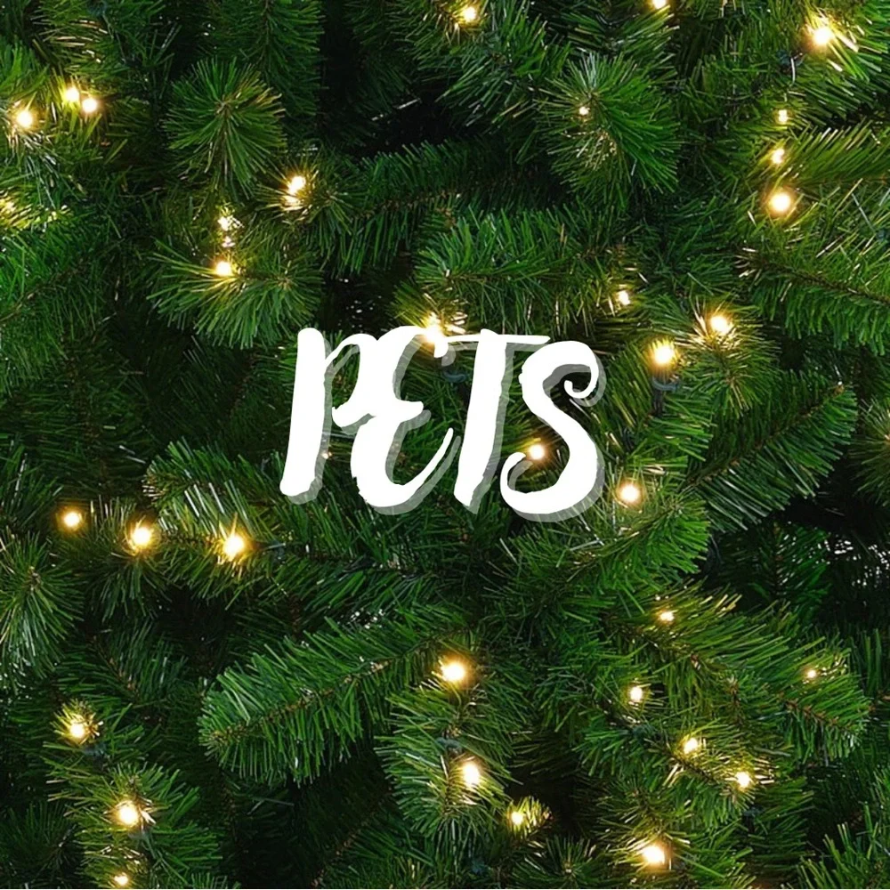 ♡︎ - Picture 7 of 12